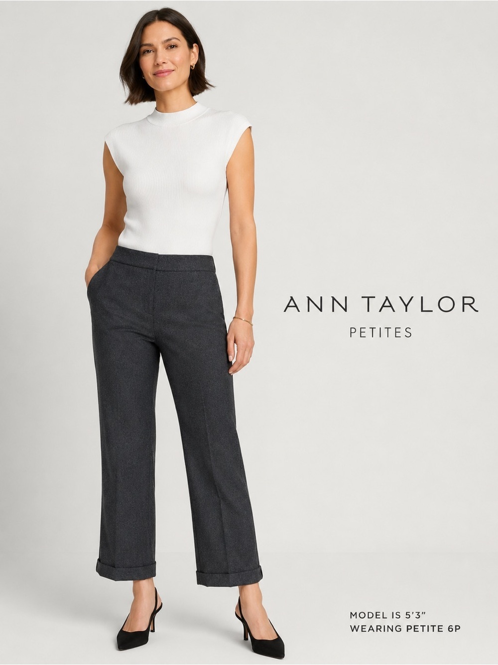 Ann Taylor Petites Wool Cashmere Dress Pants Gray Wide Leg Trouser 12P